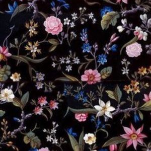 Meet your Posher, Norma